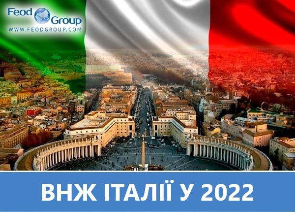 ТОП 5 способів отримати ВНЖ в Італії у 2022 році